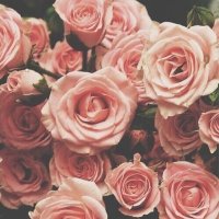 Danah (@10danah) 's Twitter Profile