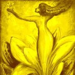 rebirthing33's profile picture. Ik help je om je adem te bevrijden van alles wat je is opgelegd, maar ook van wat  je jezelf hebt opgelegd.
Zodat je weer vrij en onbevangen kunt leven.