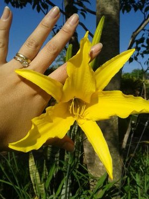 Lizgaleano6's profile picture. happy