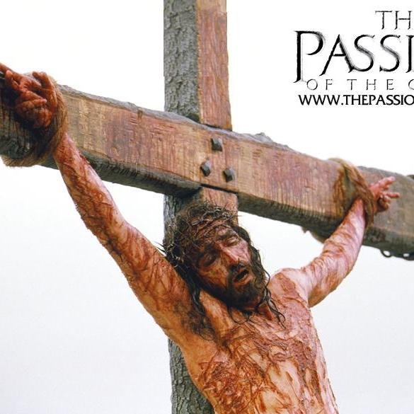 CIA_gh's profile picture. 