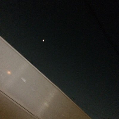 pazdoralove123's profile picture. ひまです