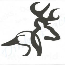 whitetail77's profile picture. 