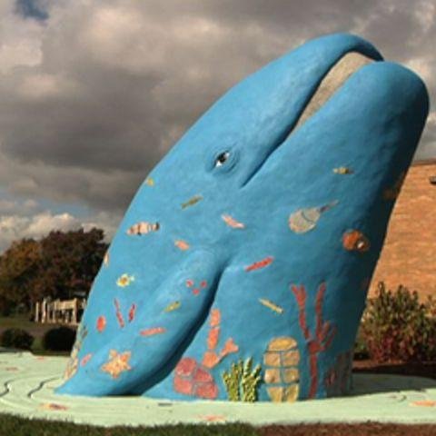 Highlands203's profile picture. This is the official Twitter feed of Highlands Elementary, Naperville, IL.