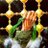 HananHananali's profile image