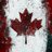 QuebecFuture's profile image
