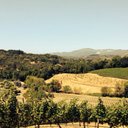 Allyson Hickey - @allyonthemove - Twitter