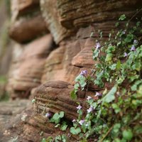 robyn pelling (@universeaway) 's Twitter Profile