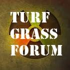 A forum to discuss benefits, risks, costs and concerns of synturf grass fields + synturf / grass projects e: turfgrassforum@gmail.com