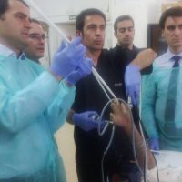 Dr.Lomo (@lomo_dr) 's Twitter Profile Photo