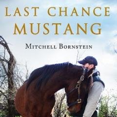 #LastChanceMustang  a #wildhorse who battled & defeated BLM wranglers, abusive owners, and his own demons. Available 6/23/15 or pre-order now on Amazon