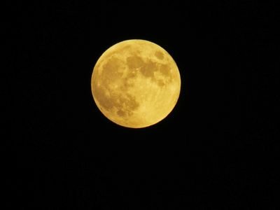 千葉住みバツイチ一人暮らし、仕事して酒飲んでだらだらしてまつ。美味しいお酒とメシが食いたかったら声かけてね！
1型糖尿病なのが2019/3月に発覚(T_T)
糖質制限食を中心にして頑張ります！