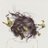 petit_unicorn's profile image