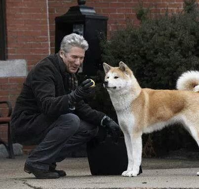 ivan_yumaglla's profile picture. 