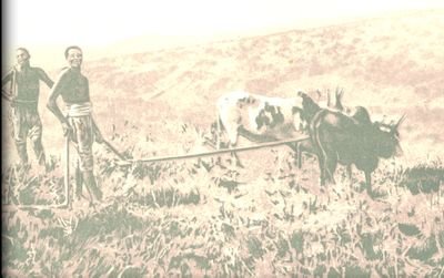 Musa1312Mansa's profile picture. 