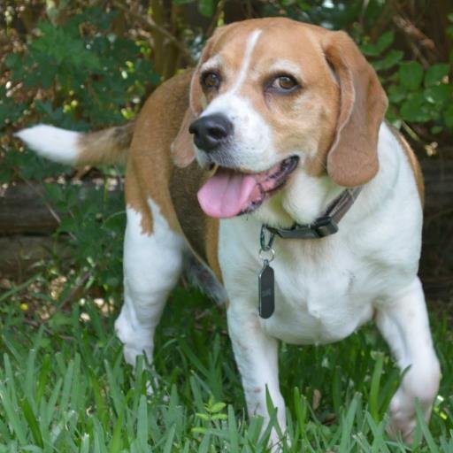 jsmith12287's profile picture. 