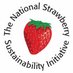 NSSI (@s_berries) Twitter profile photo NSSI (@s_berries) Twitter profile photo