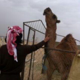 ‏‏كلاهما بالنفس افتعال...وكلاهما...يبعث بالنفس ارتياح
