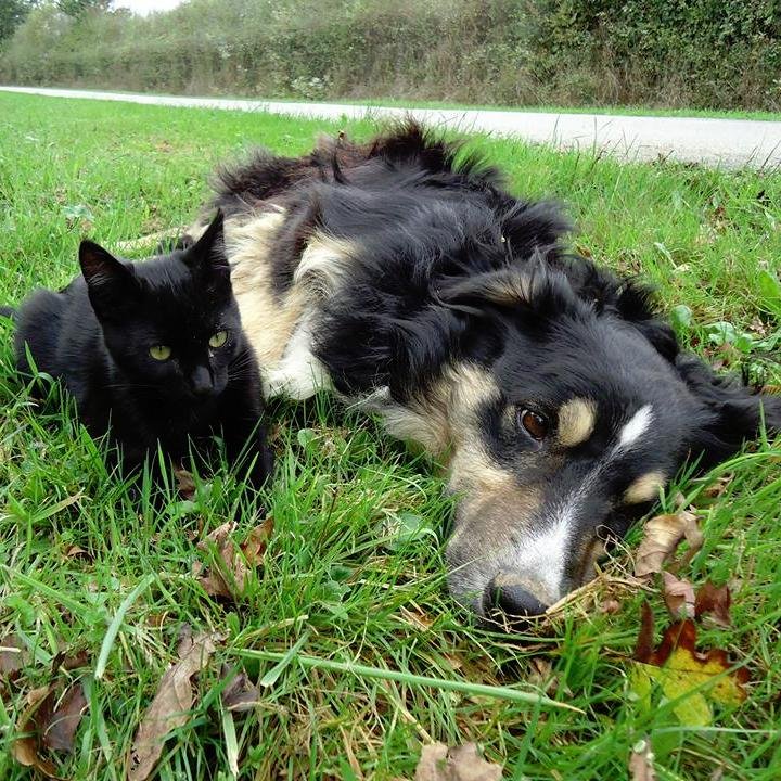 les_ptits_fous's profile picture. P'tite bande de fou, heureux de vous faire partager de bon moments d'Enko & Cie :D