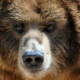 Tanghult's profile picture. 