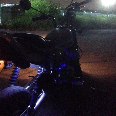 monkey_kooya's profile picture. 千代田短期大学Cぐみ