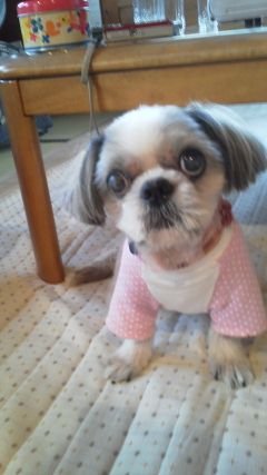 grs1915_grs1915's profile picture. 声楽/ソプラノ/オペラ/ピアノ/クリスチャン/奏楽/名フィル定期会員/社内SE/医療従事者/舞台鑑賞/JAZZダンス初心者/バレエもちょっと