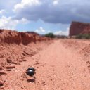 Diego Schmidt - @schmidtdiego - Twitter