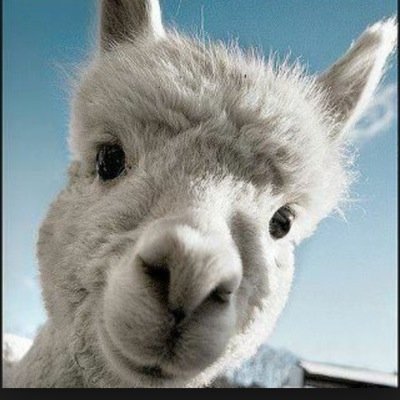 _DebPike's profile picture. 