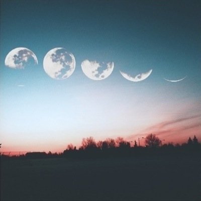 alessiaespinoz5's profile picture. 