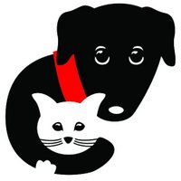 CARE Evanston (@careevanston) Twitter profile photo