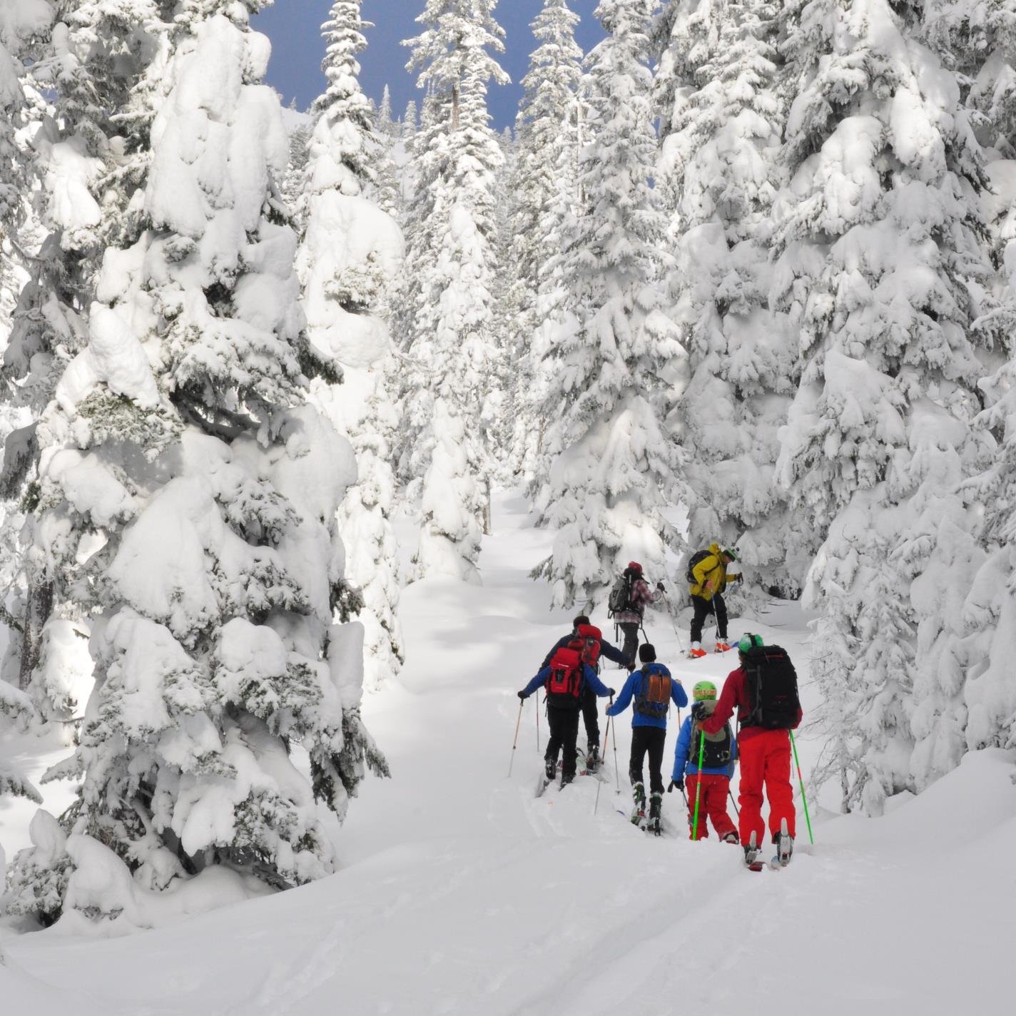 Full time Mountain Adventure Skills Training Program. 9 months in Fernie,BC. Ski touring,rock climbing,kayaking and more.