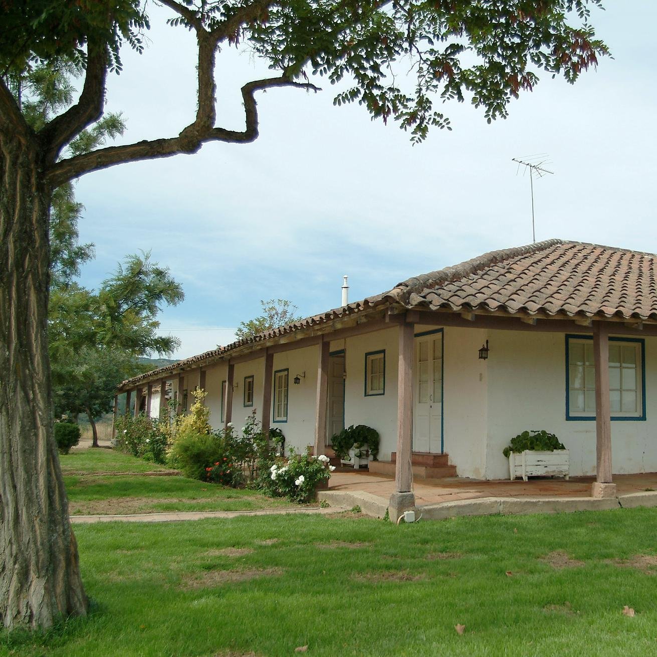 casabouchon's profile picture. 