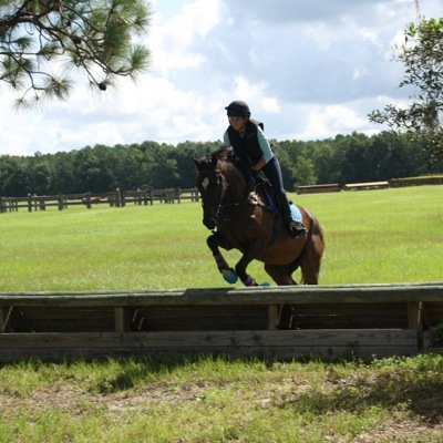 area lll eventer. Ammy eventer with dreams of going pro.