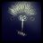 LidorSaadia's profile image