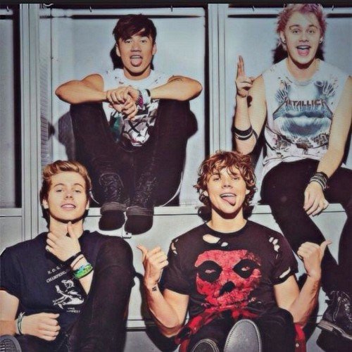 I've got 99 problems and Luke Hemmings not dating me is about 84 of them ^_^