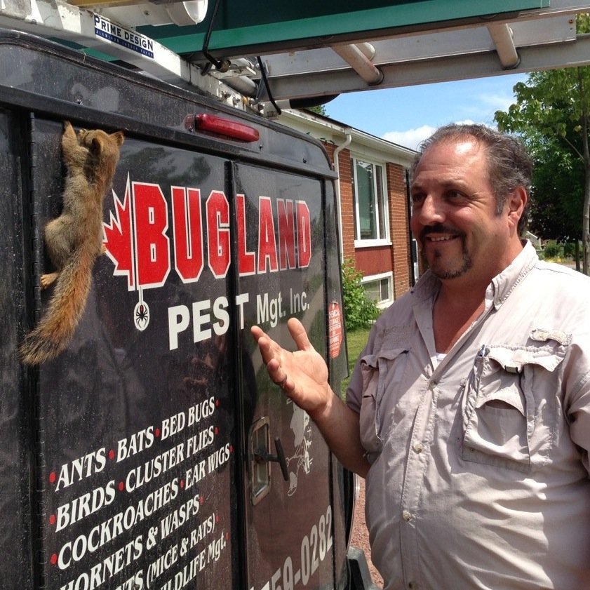 Pest Control Service locally owned and operated. Inquire about our pest control solutions for your home or commercial building today!