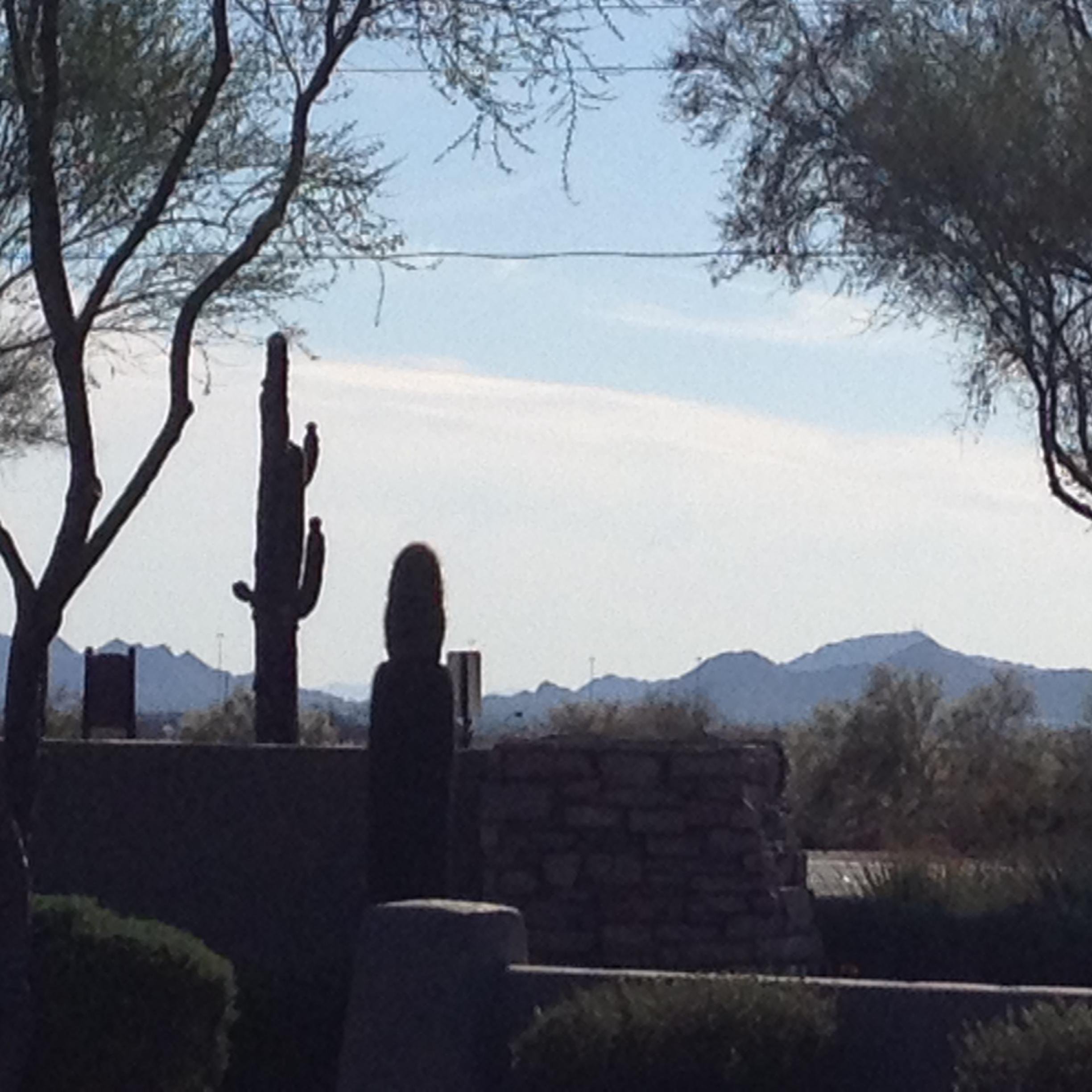 maris1283's profile picture. 