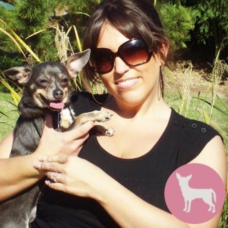 Hi! This is @AimeeBeltran & Chuy Chihuahua. Pet Blogger. Create an irresistible life you can't resist, with your pets!