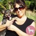 Irresistible Pets (@irresistiblepet) Twitter profile photo