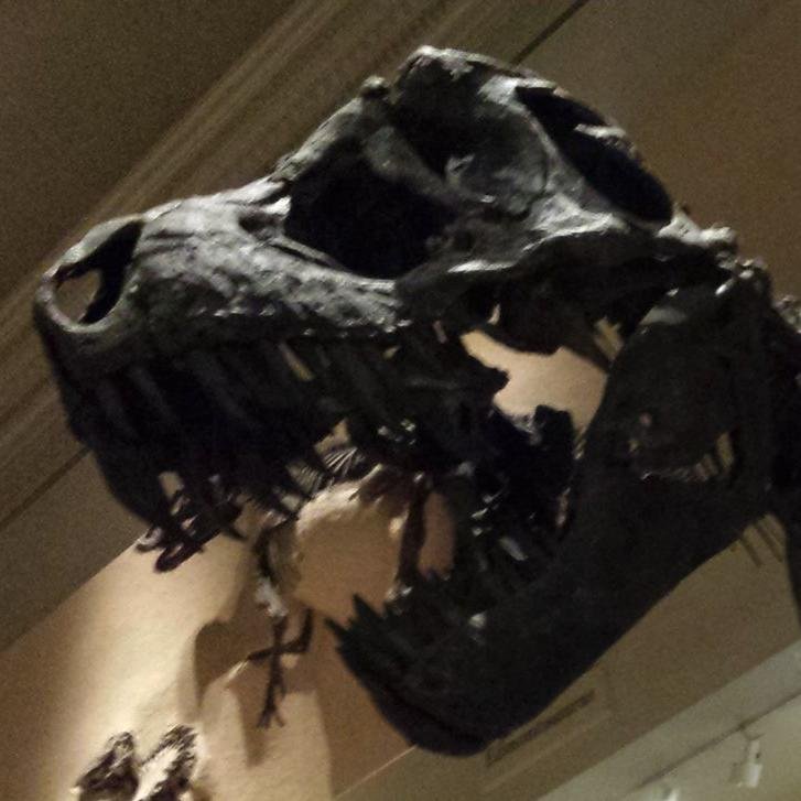 smh4239's profile picture. 