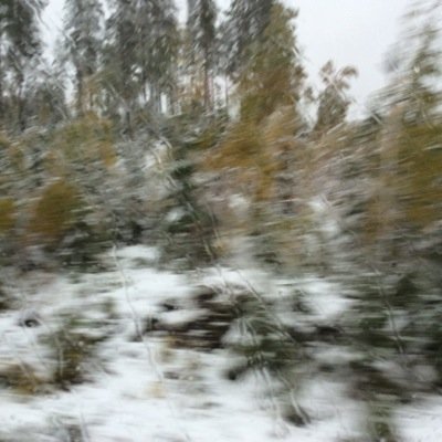 marja_seija's profile picture. 