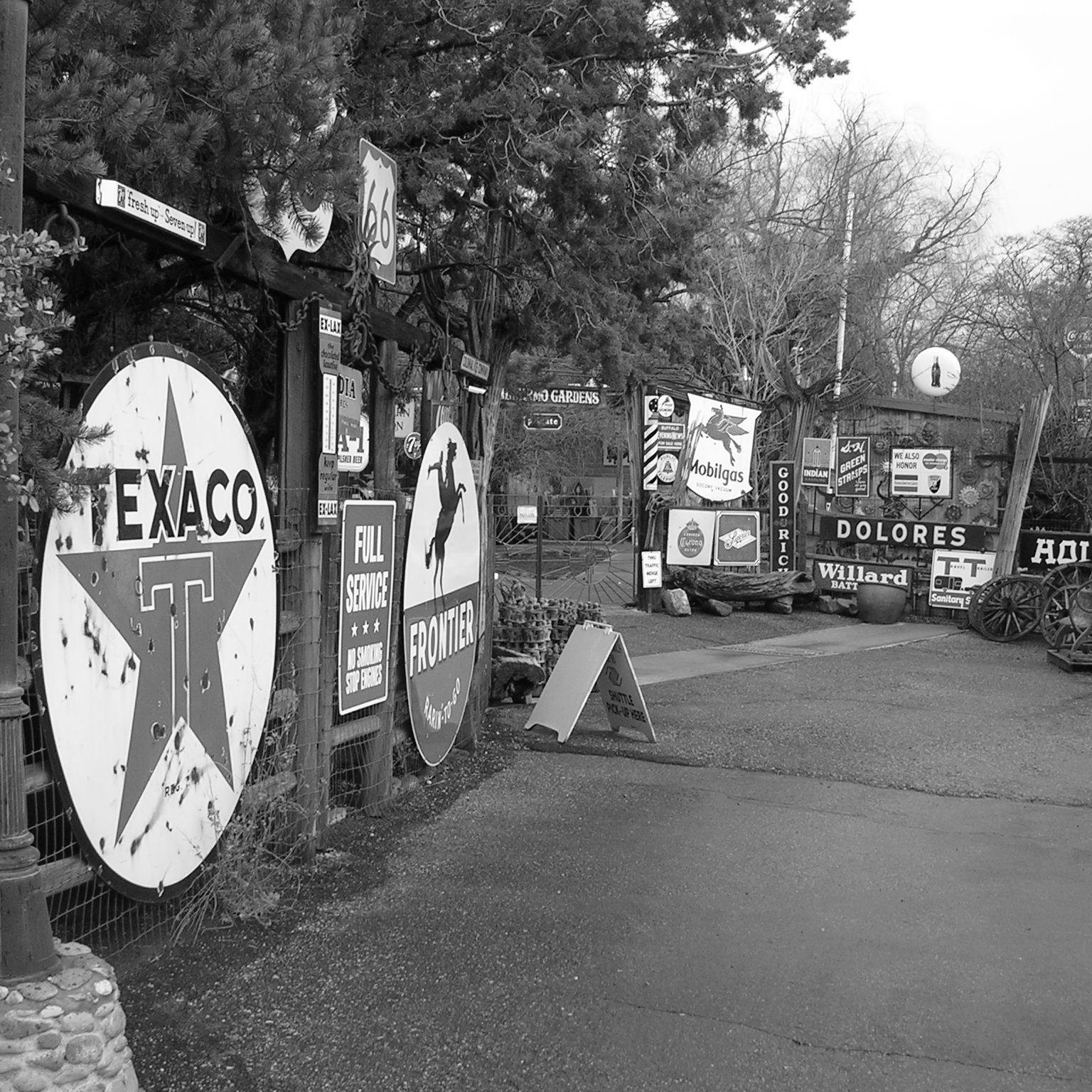 PEP2838's profile picture. 