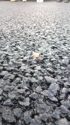 Klimaflisen's profile picture. I am the future of plug and play sidewalks - an intelligent solution that can handle the increased rainfall, communicate and create new experiences in the city