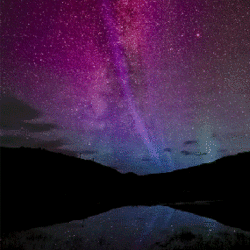 2amLows's profile picture. 