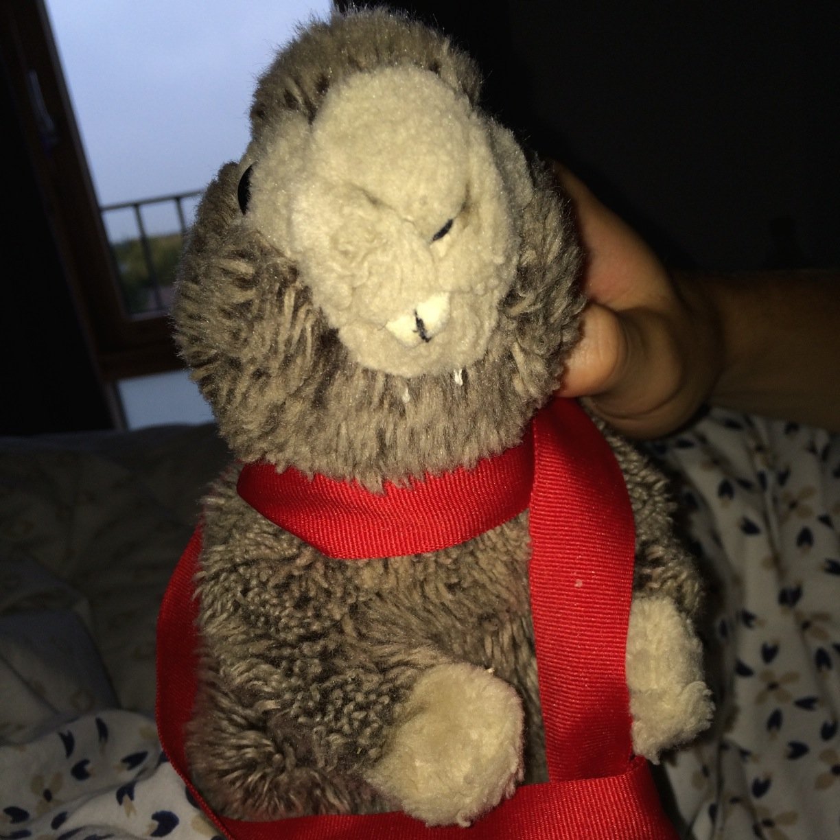 billy_macro's profile picture. Woodchuck, Acting Mayor, Expert Cleaner