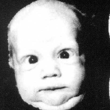 CasalCosaNostra's profile picture. Casal de Barri de Can Peguera