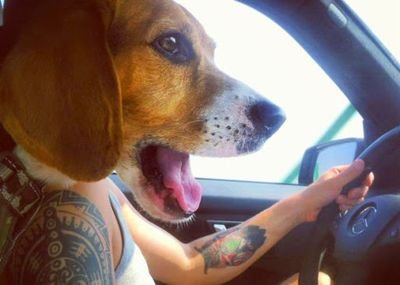 carlitos_carko's profile picture. Si la vida te da la espalda, arrimale el camarón...