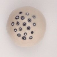 Melissa Grant (@laughingsnail) Twitter profile photo