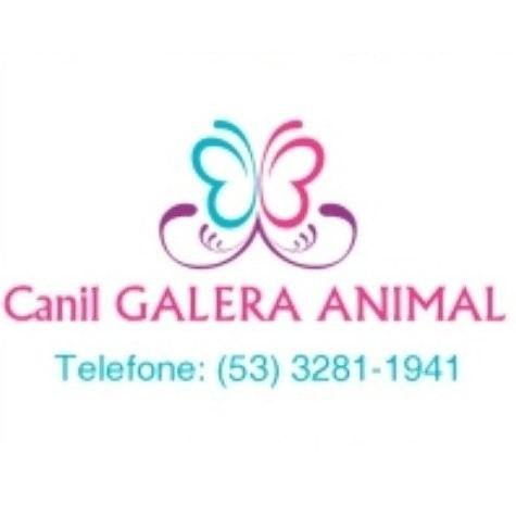 Criamos cães das raças: Beagle, Dogue Alemão, Lhasa Apso, Pinscher e Pug.
CONTATO: (53) 8425-7814 / 3281-1941 / 9130-2001
- Participe: http://t.co/bThiJ4ZaPG