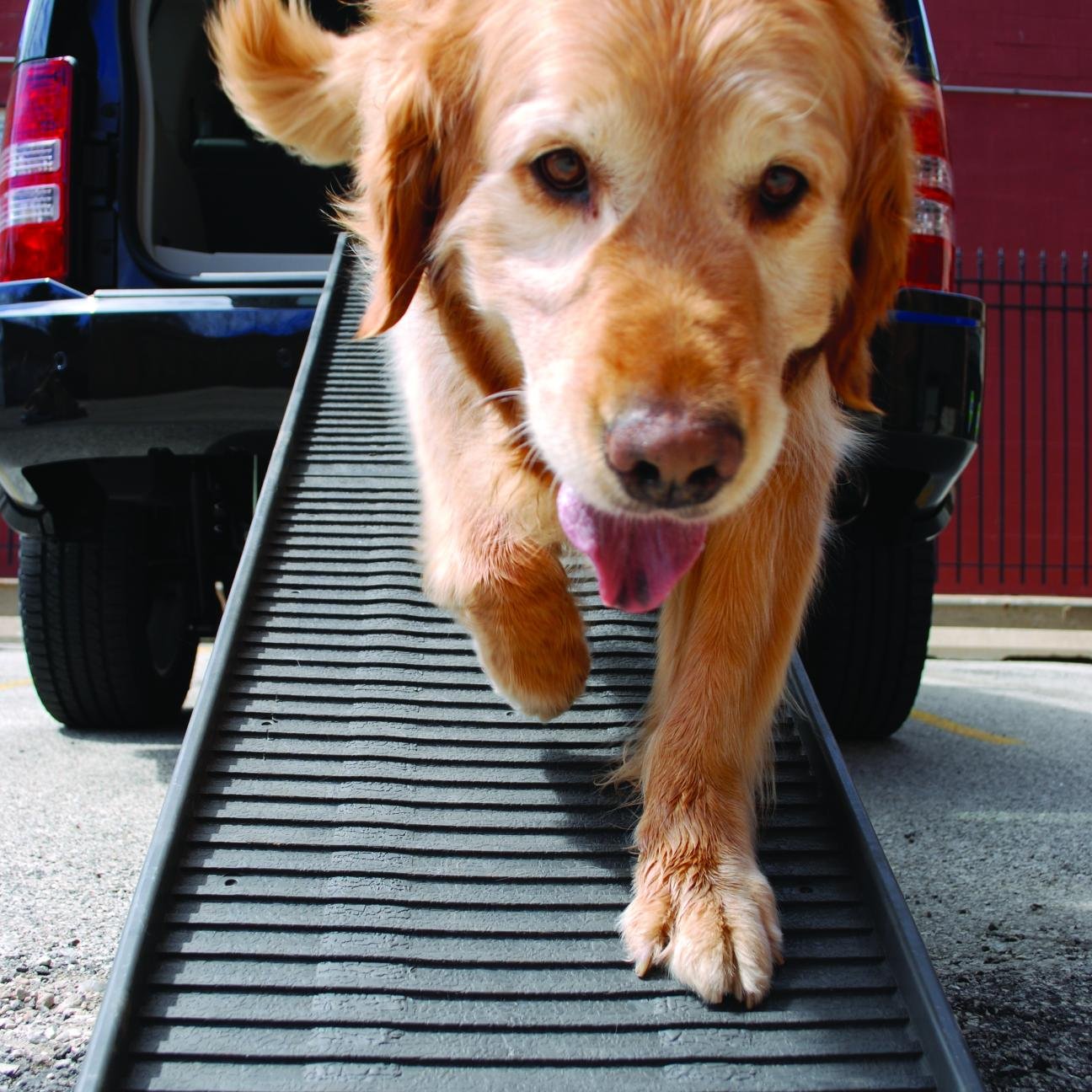 Portable folding ramp for all pets designed to ease the burden of mobility. Non-slip soft rubber surface.