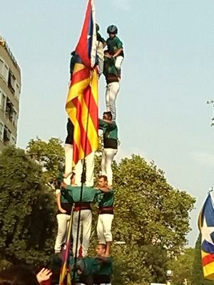 ricard1951's profile picture. 